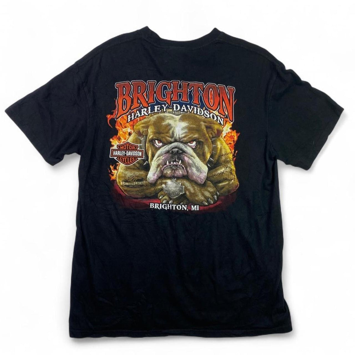(Large) Authentic Vintage Harley-Davidson T-Shirt | Brighton
