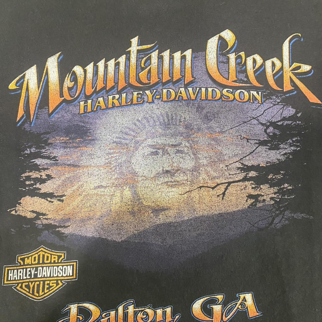 Harley Davidson T-Shirt- Mountain Creek (X-Large)