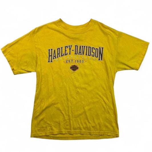 Authentic Vintage Harley-Davidson T-Shirt | Apol’s- Raymond, Minnesota (Medium)