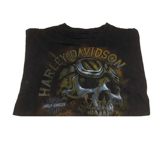 Authentic Vintage Harley-Davidson T-Shirt | Brighton (Large)