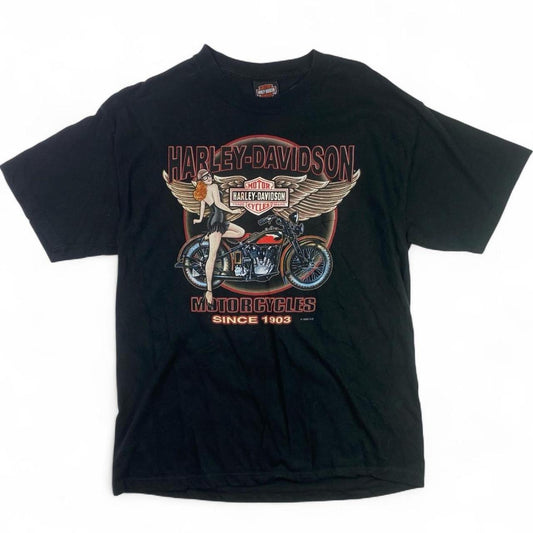 Authentic Vintage Harley-Davidson T-Shirt | Hawkeye Coralville, Iowa Edition (Large)