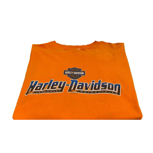 Authentic Vintage Harley-Davidson T-shirt (X-Large)
