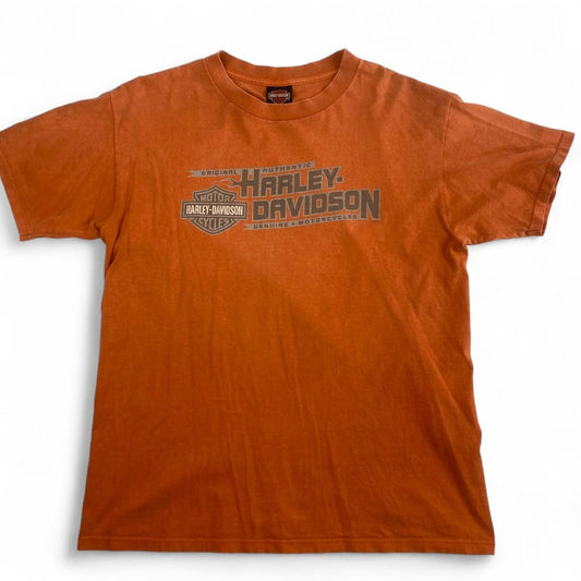 Authentic Vintage Harley-Davidson T-Shirt- Aruba Big Twin (Large)
