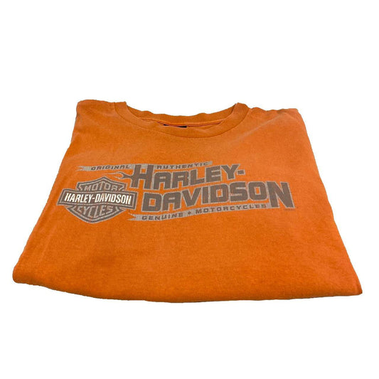 Authentic Vintage Harley-Davidson T-Shirt- Aruba Big Twin (Large)