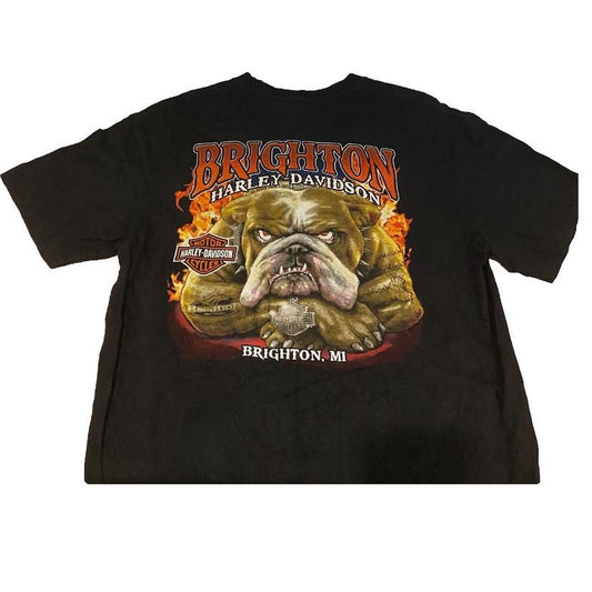 Authentic Vintage Harley-Davidson T-Shirt | Brighton (Large)