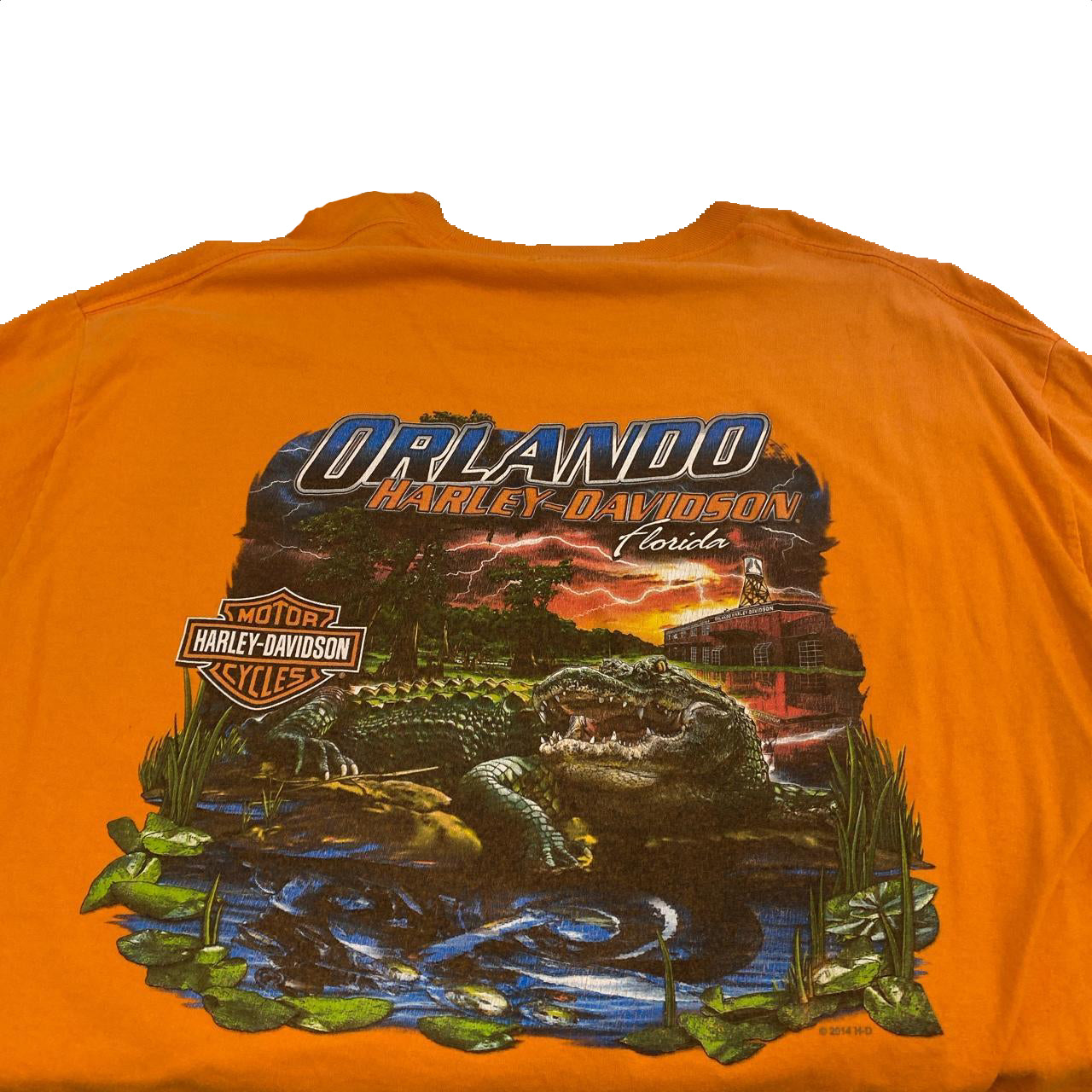 Authentic Vintage Harley-Davidson T-shirt (X-Large)
