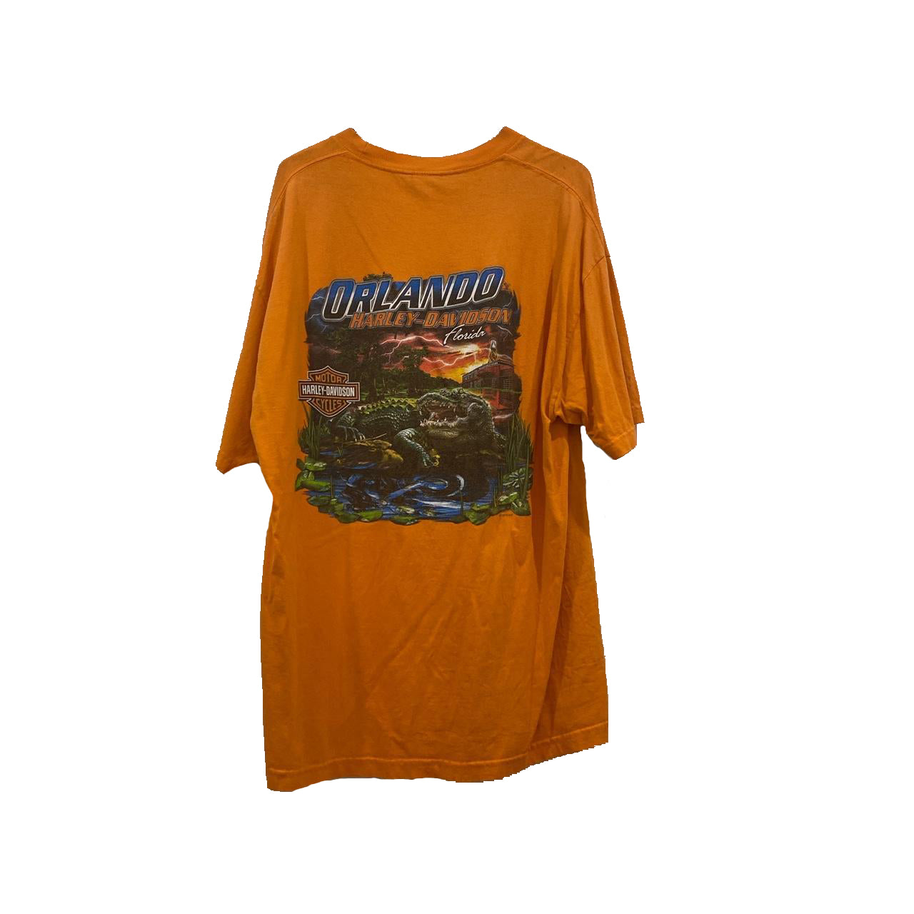 Authentic Vintage Harley-Davidson T-shirt (X-Large)